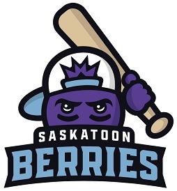 Saskatoon Berries